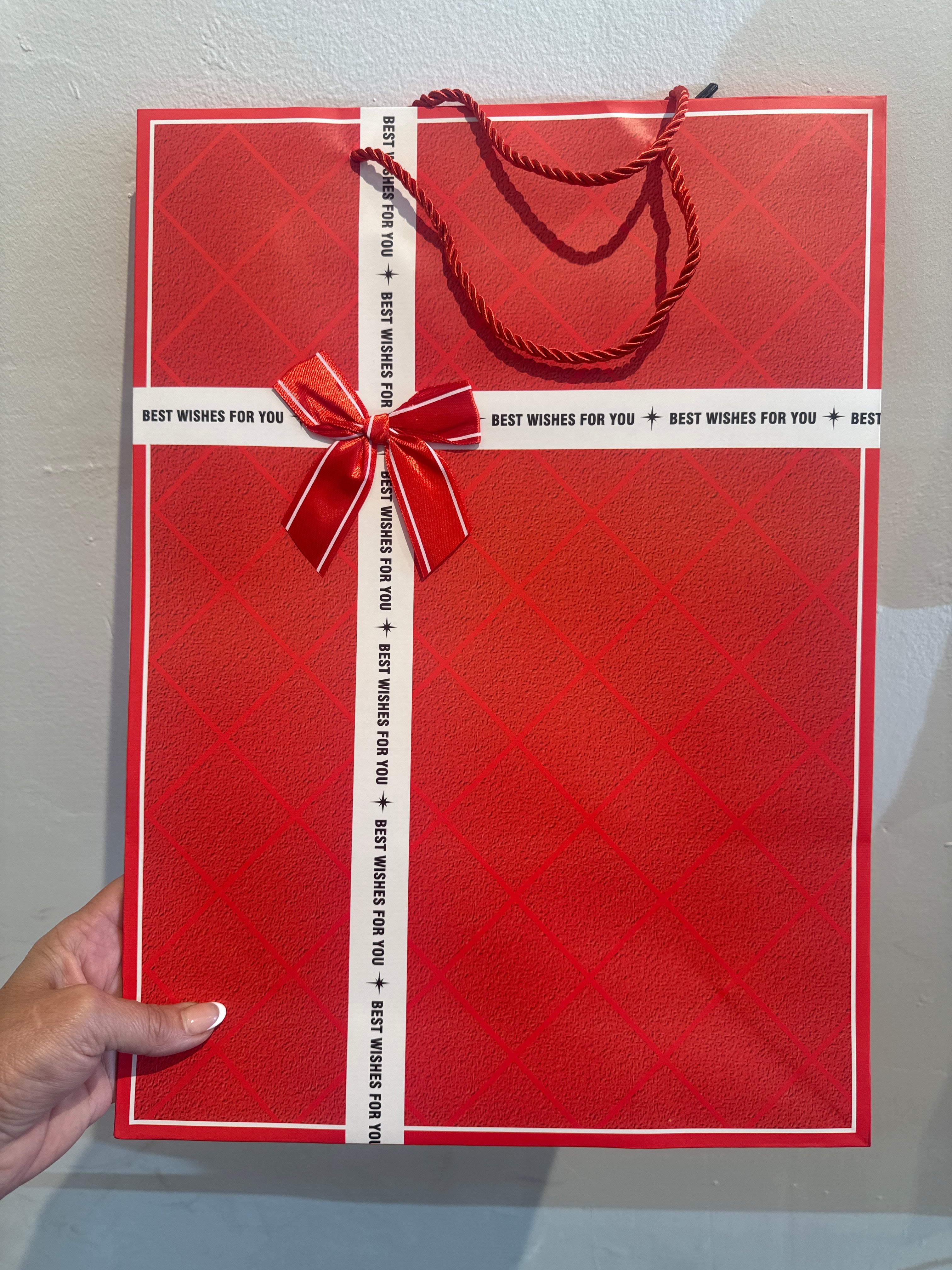 Large Bow Bag 42x31H