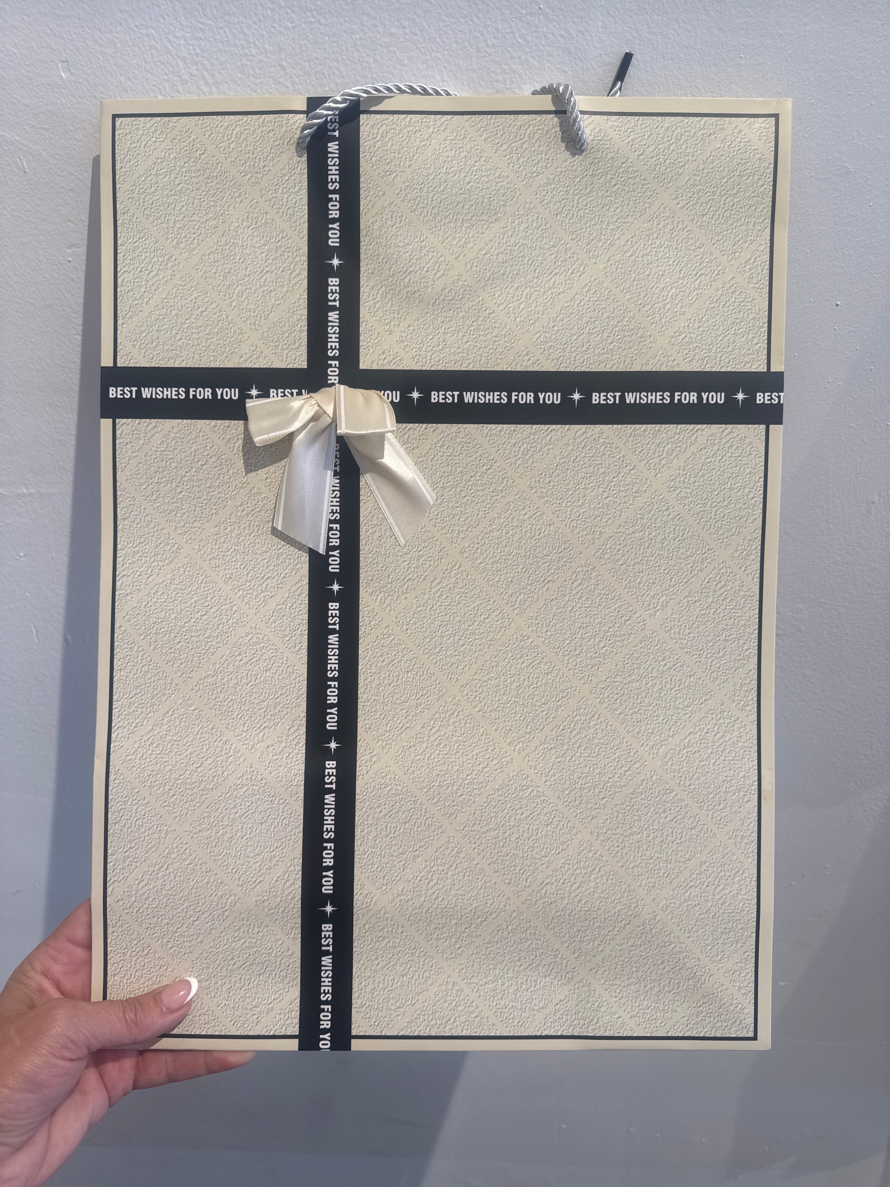 Large Bow Bag 42x31H