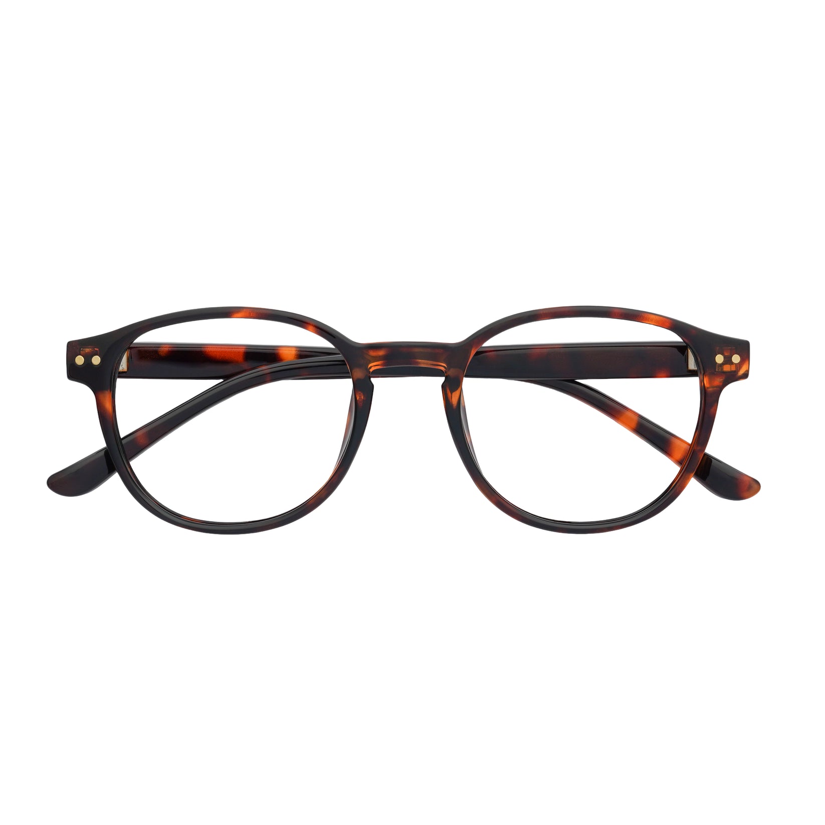 Captivated Eyewear Noah Tortoise Shell