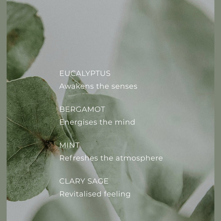 CIRCA Eucalyptus & Bergamot Scent Oil - 10ml