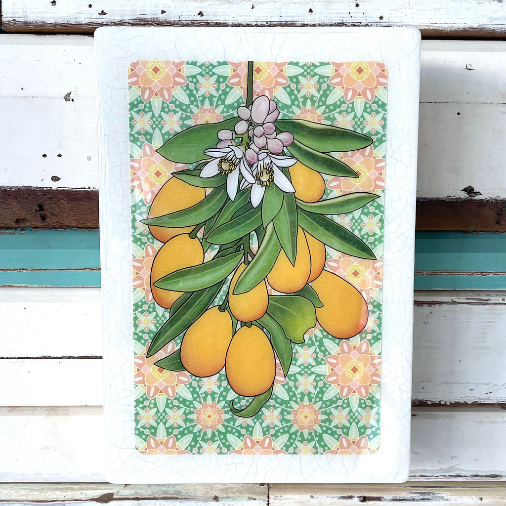 Megs Cumquats - maxi/ Lost & Found Art Co