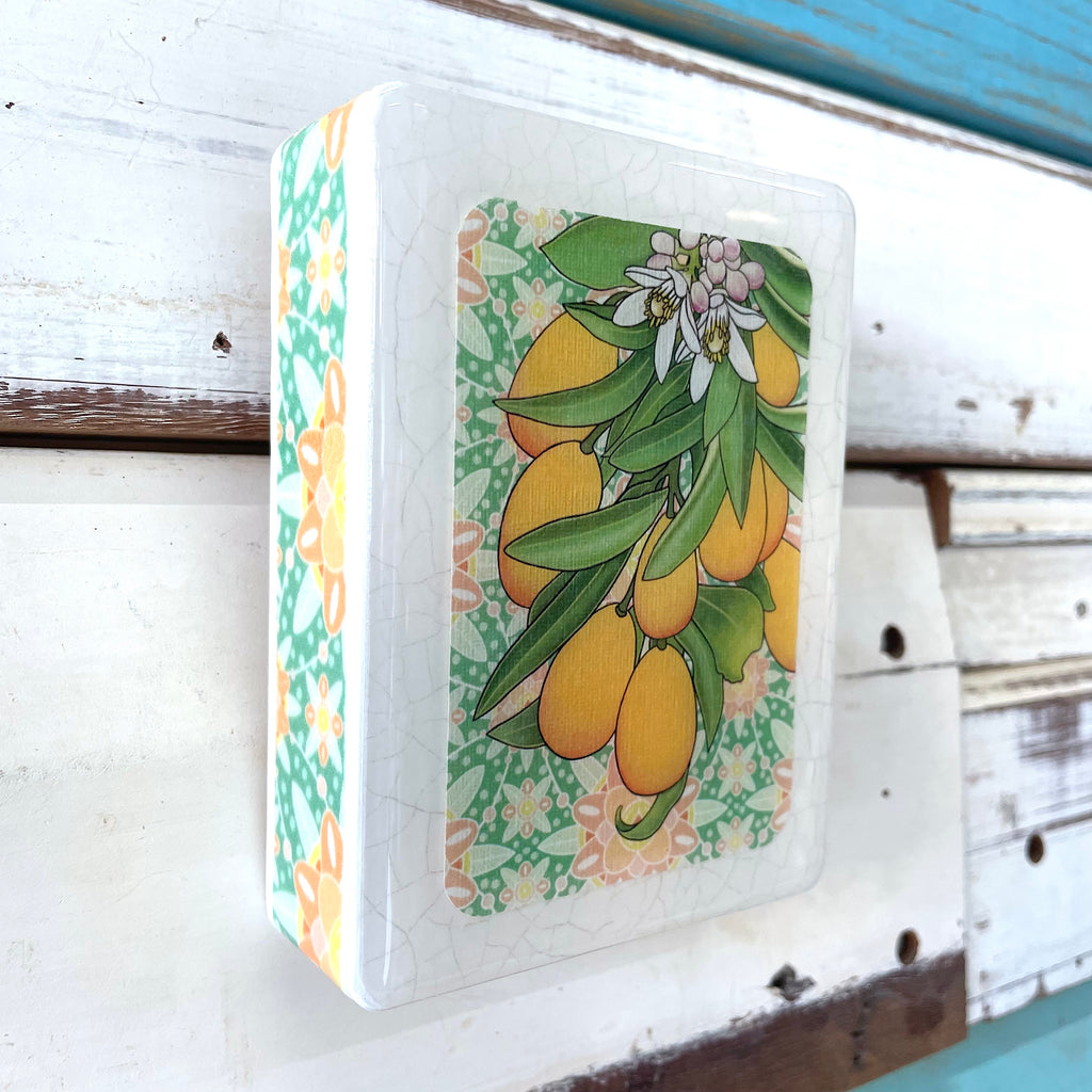 Megs Cumquats - Mini/ Lost & Found Art Co