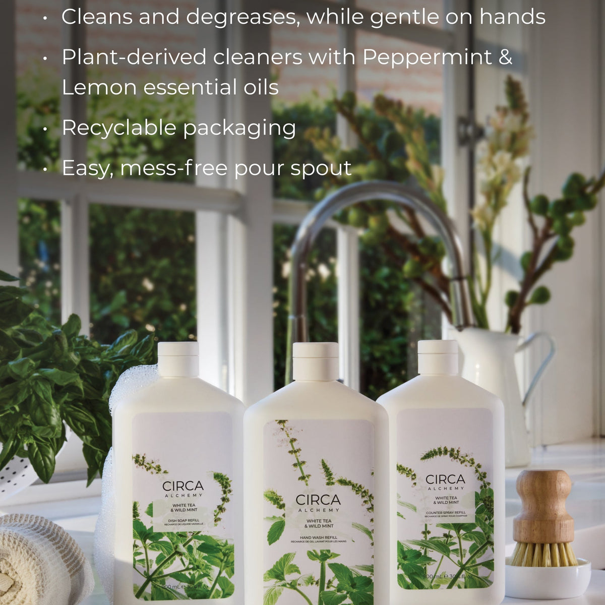 CIRCA ALCHEMY White Tea & Wild Mint Dish Soap Refill - 900ml