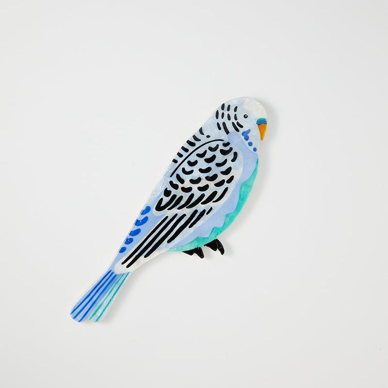 Aerial Budgie Wall Art