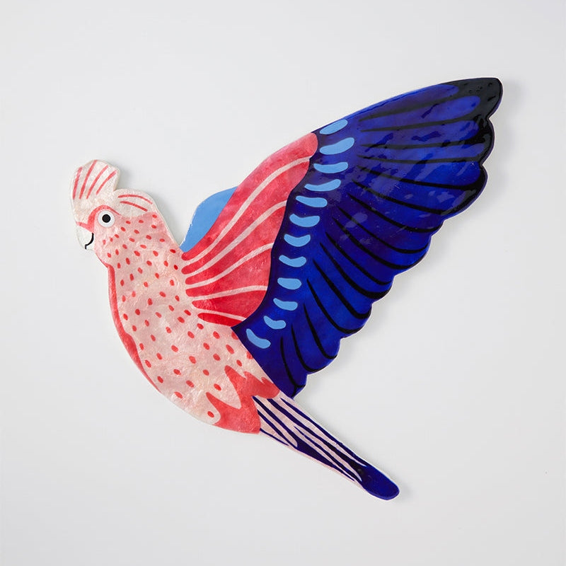 Aerial Galah Wall Art