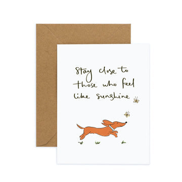 Sunshine Dog Greeting Card