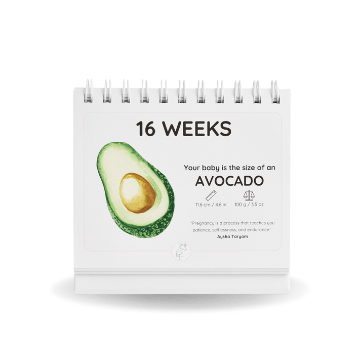 The Growing Miracle Pregnancy Calender