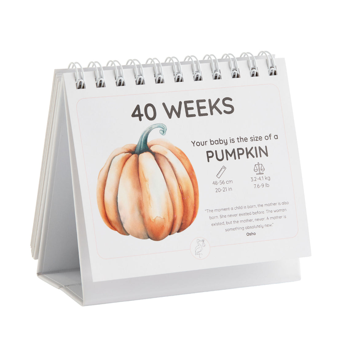 The Growing Miracle Pregnancy Calender