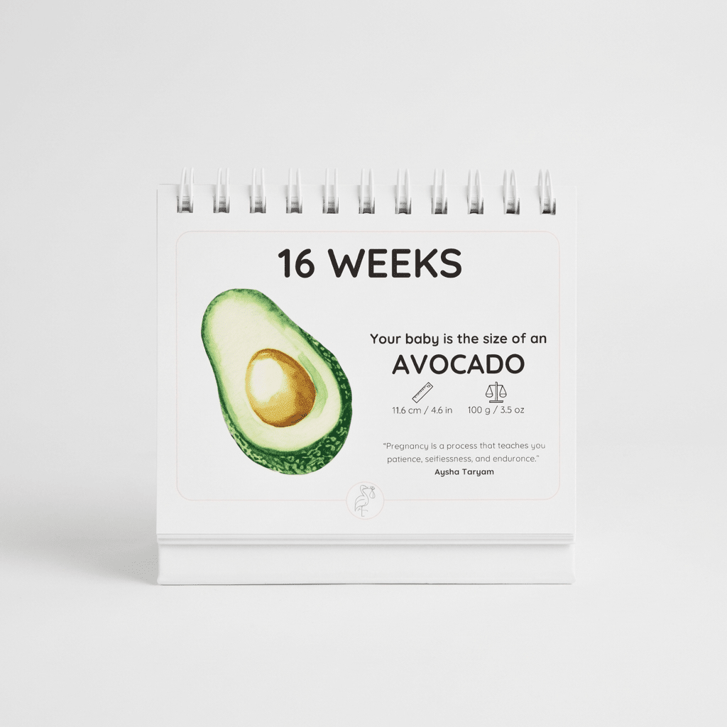 The Growing Miracle Pregnancy Calender