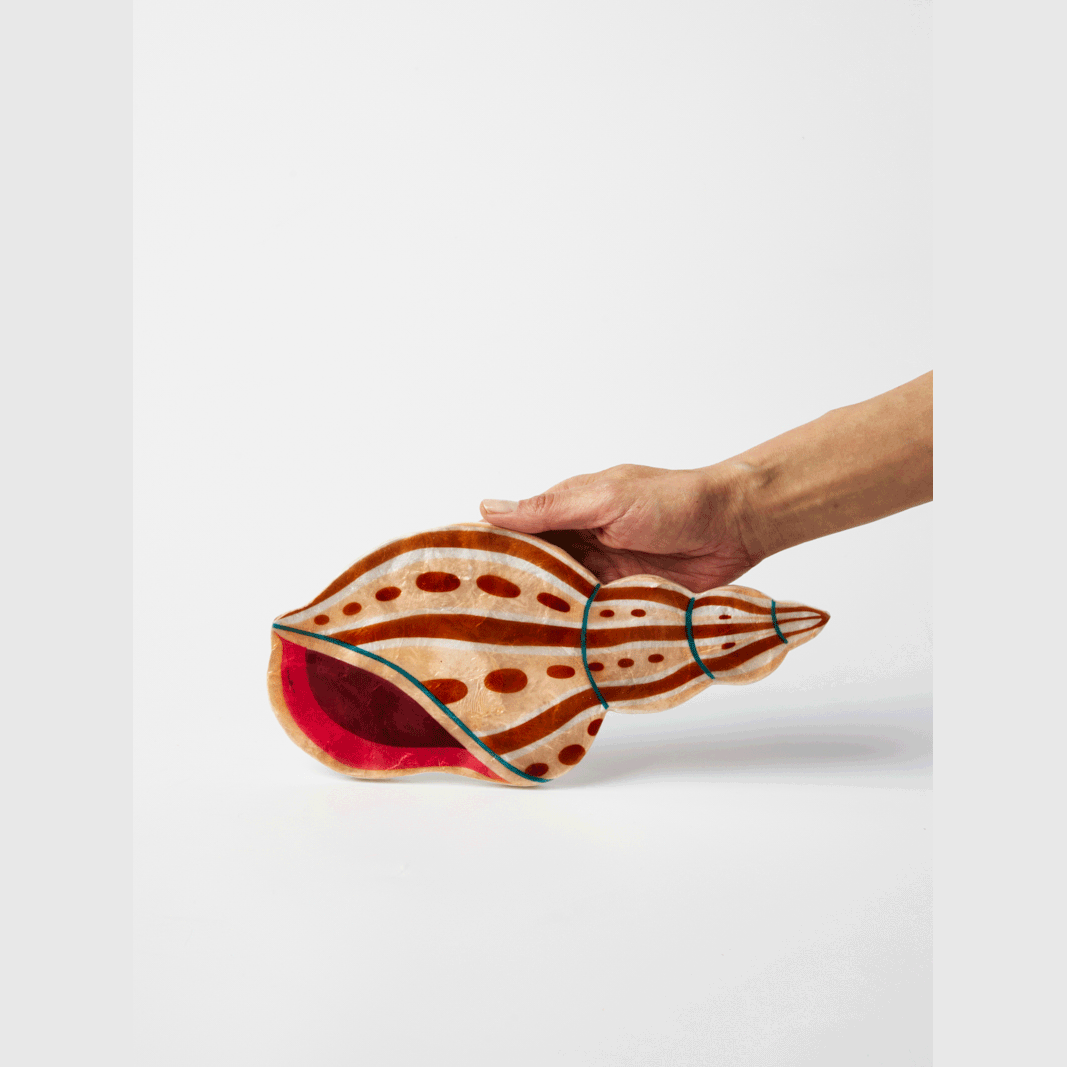 Jones & Co AGNAR SHELL WALL ART