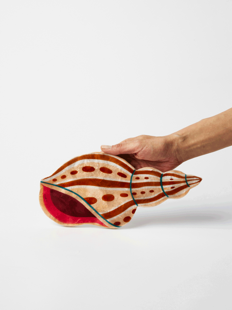 Jones & Co AGNAR SHELL WALL ART