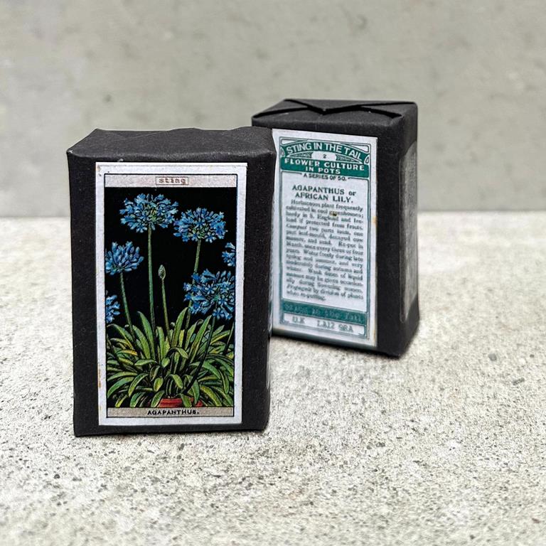 Gardener's Soap Agapanthus