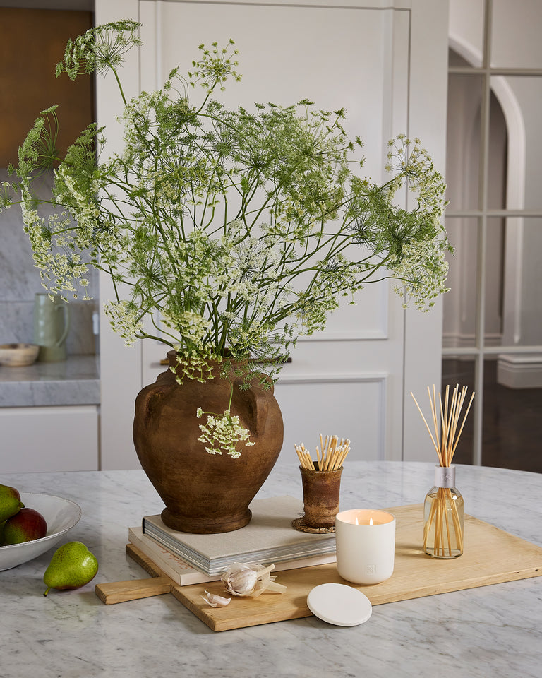 CIRCA ALCHEMY White Tea & Wild Mint Fragrance Diffuser - 250ml