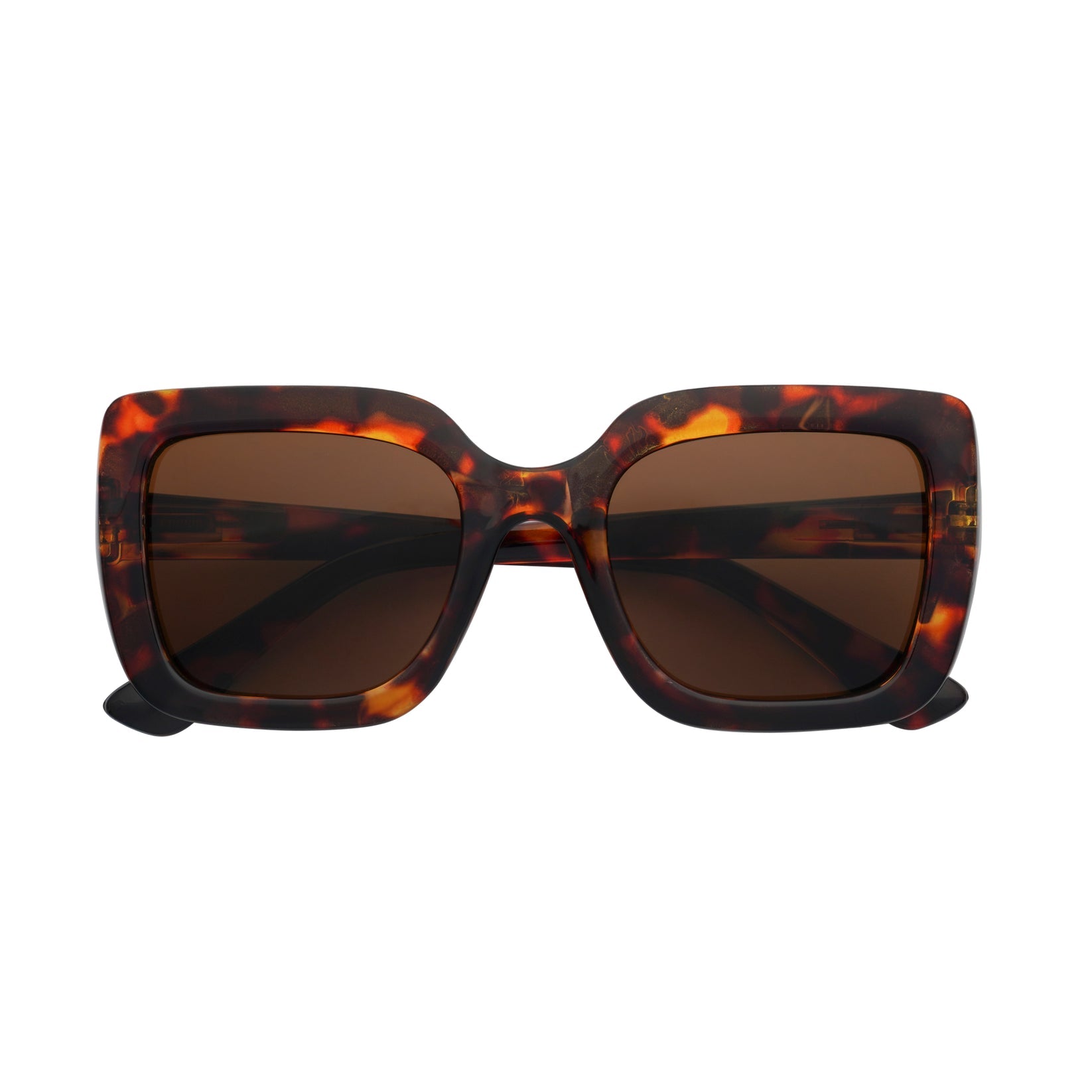 Captivated Eyewear Aria Tortoise Shell Sunglasses