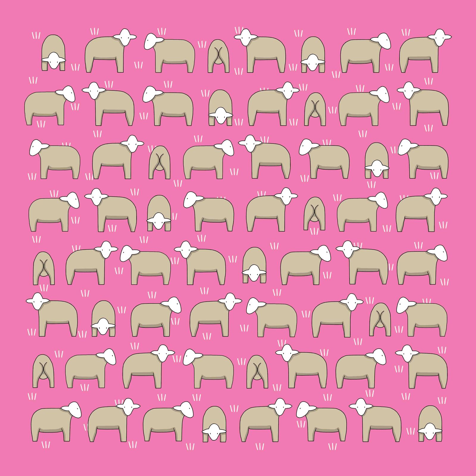 Red Tractor Hankies  Sheep on pink