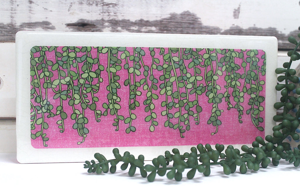 Plants on Pink - String of Pearls
