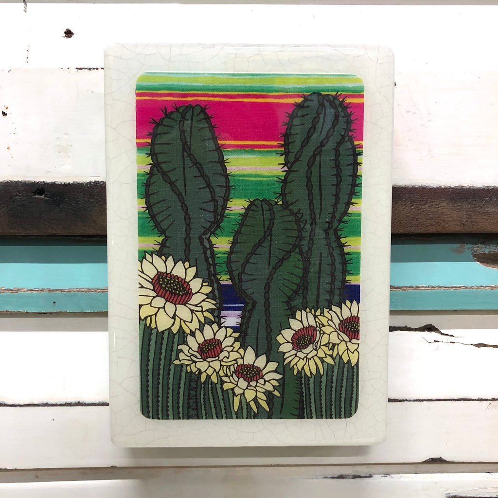 medi woodblock - spiral cactus