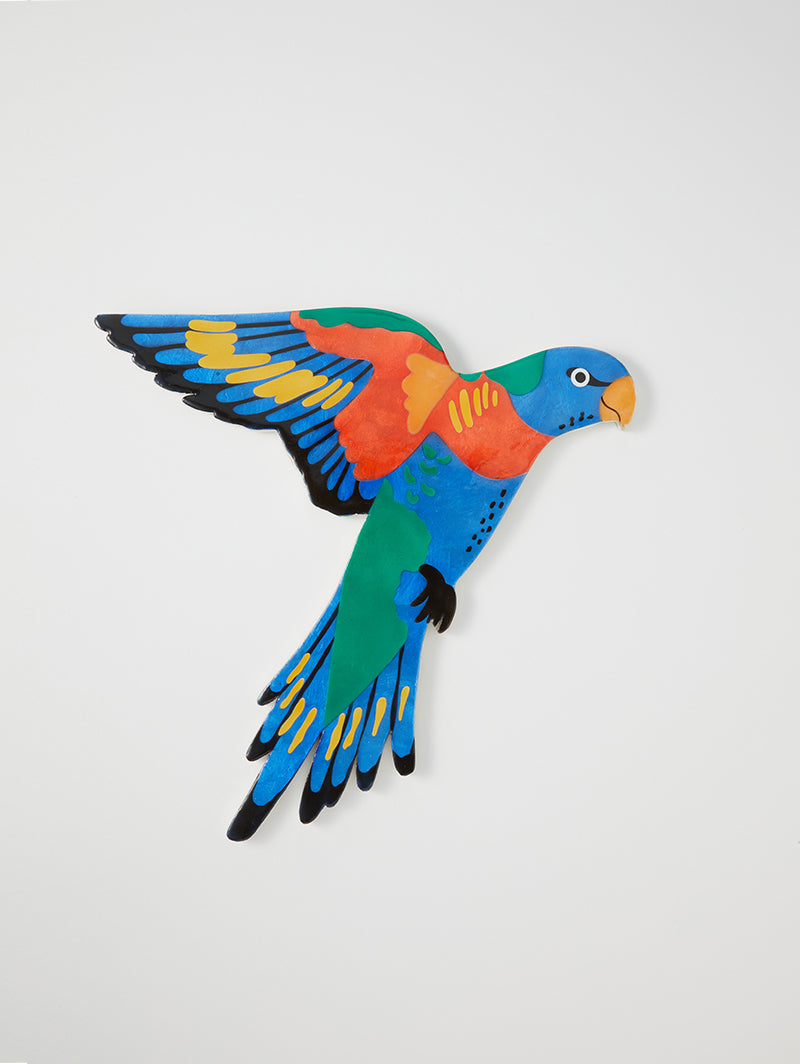Jones & Co Aerial Lorikeet wall Art