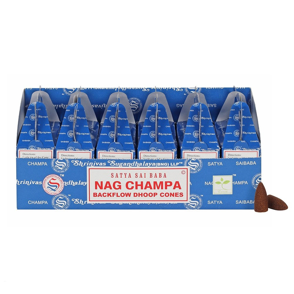 NAG CHAMPA – 24 Backflow Cones