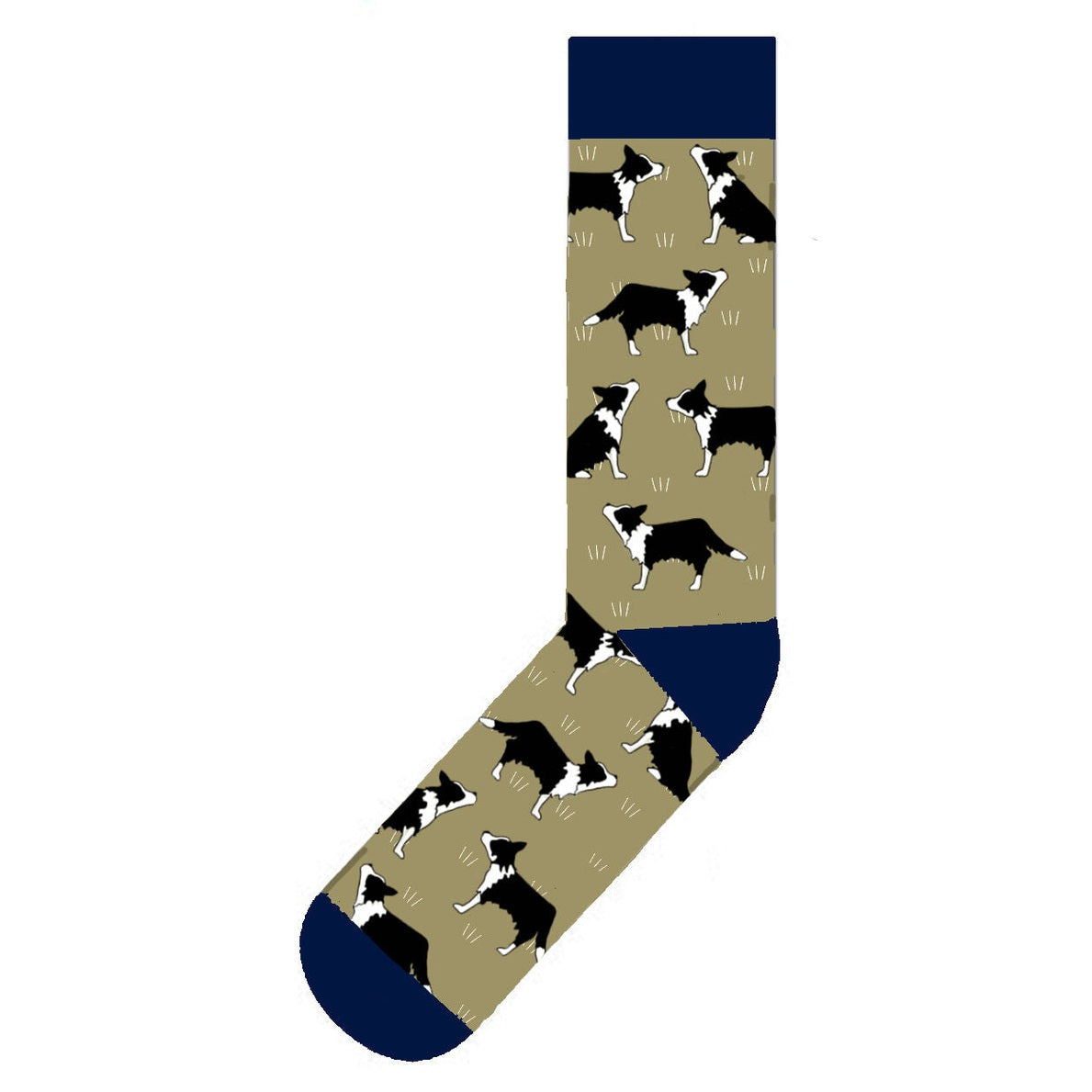 Border Collies On Gold 6-10