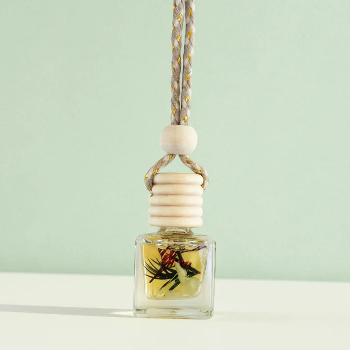 Botanical Car Diffuser - Coco Lime