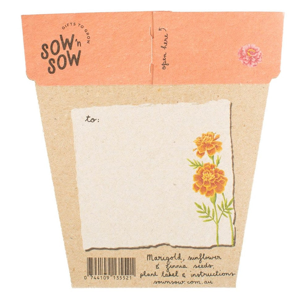 Sow 'n Sow Gift of Seeds - Secret Garden