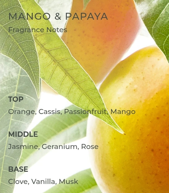CIRCA Mango & Papaya Soy Candle - 300g