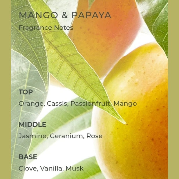CIRCA Mango & Papaya Soy Candle - 300g