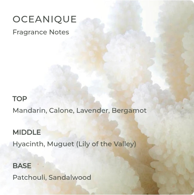 CIRCA Oceanique Soy Candle - 70g