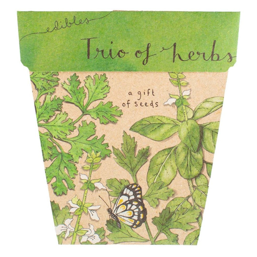 Sow 'n Sow Gift of Seeds - Trio Of Herbs